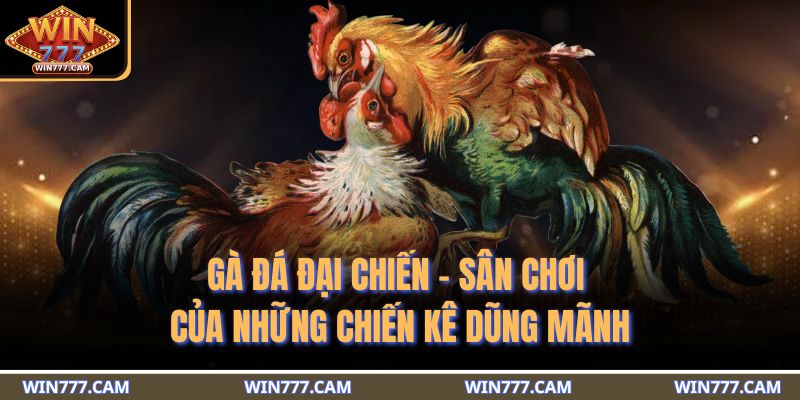 gà đá đại chiến