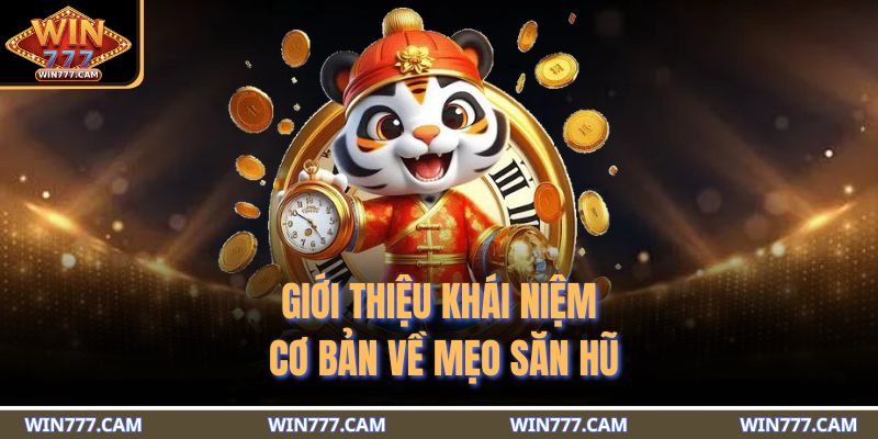 Giới thiệu khái niệm cơ bản về mẹo săn hũ