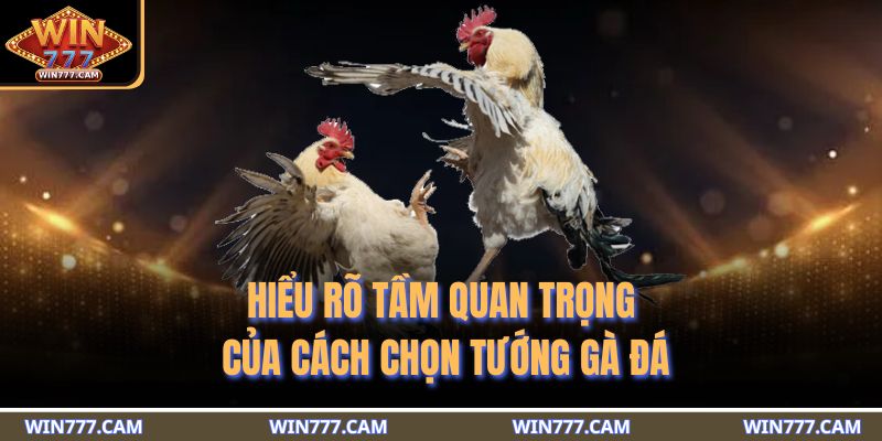 Hiểu rõ tầm quan trọng của cách chọn tướng gà đá