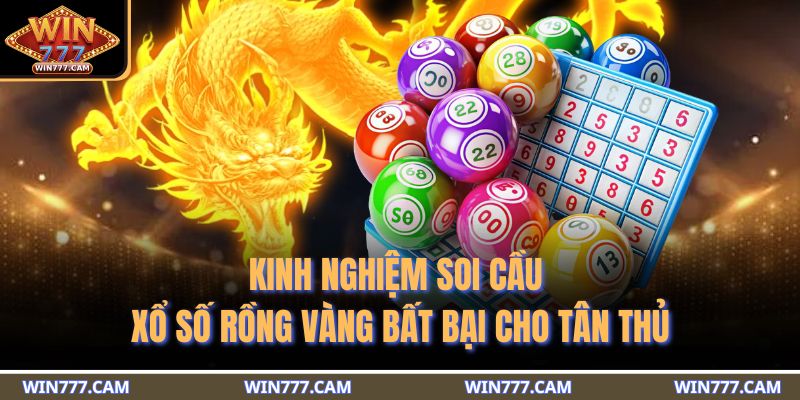 Xổ Số Rồng Vàng