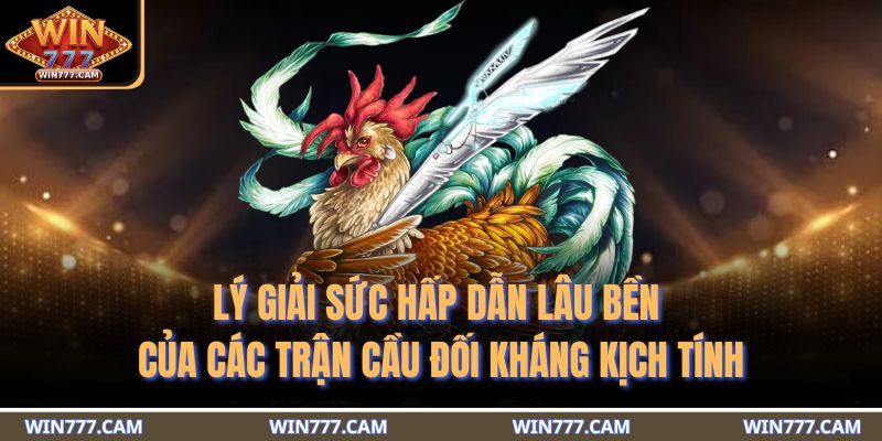 Lý giải sức hấp dẫn lâu bền của các trận cầu đối kháng kịch tính