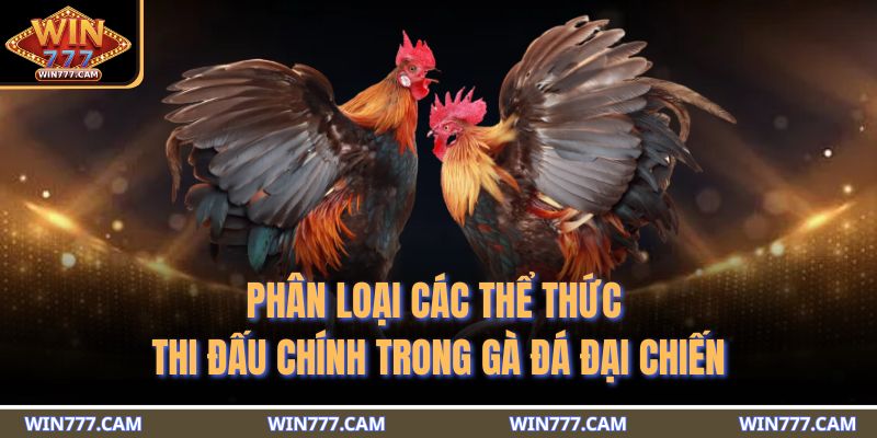 Phân loại các thể thức thi đấu chính trong gà đá đại chiến