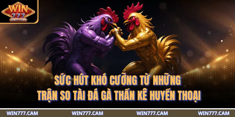 Sức hút khó cưỡng từ những trận so tài đá gà thần kê huyền thoại