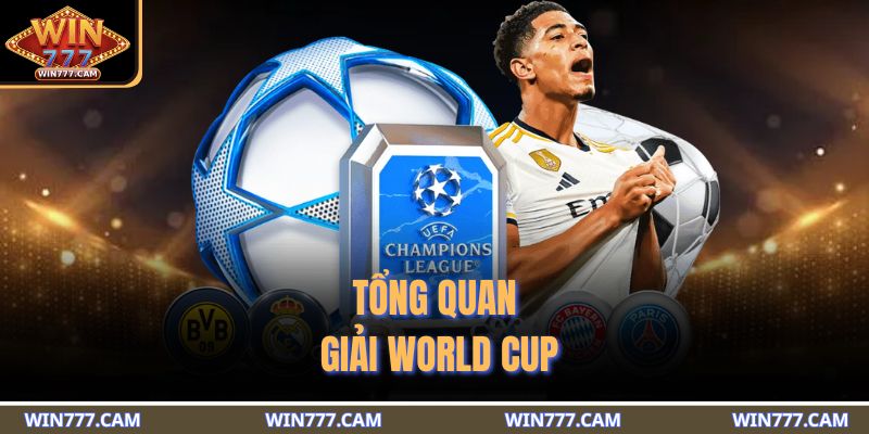 Tổng quan giải World Cup